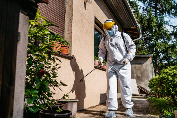 Best Affordable Pest Control Services  in Sunnyside, CA